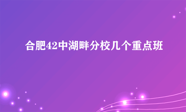 合肥42中湖畔分校几个重点班