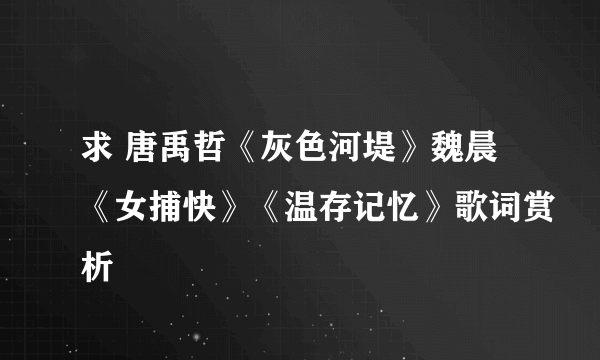 求 唐禹哲《灰色河堤》魏晨《女捕快》《温存记忆》歌词赏析