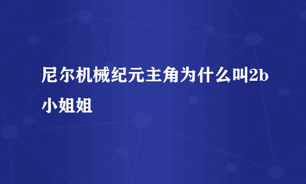 尼尔机械纪元主角为什么叫2b小姐姐