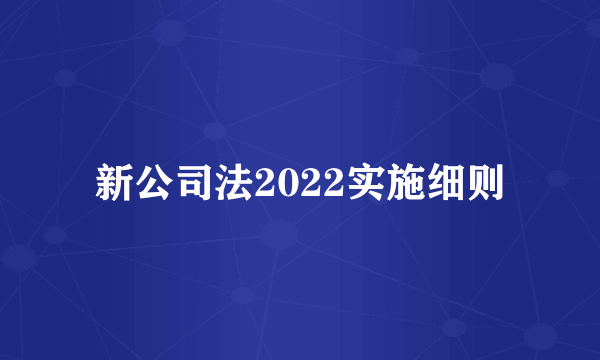 新公司法2022实施细则