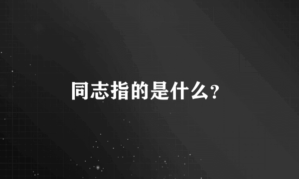 同志指的是什么？