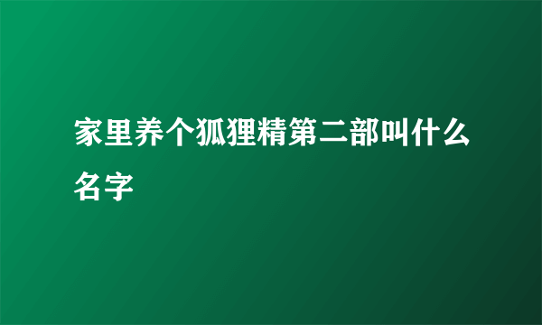 家里养个狐狸精第二部叫什么名字