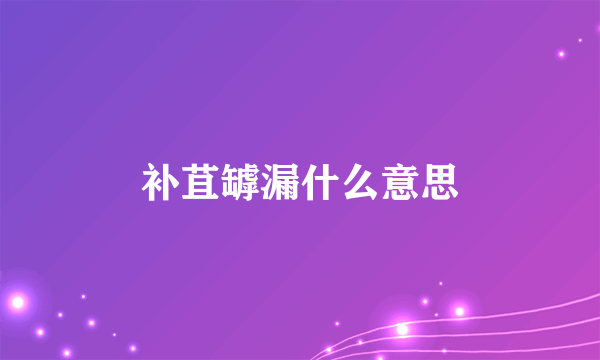 补苴罅漏什么意思