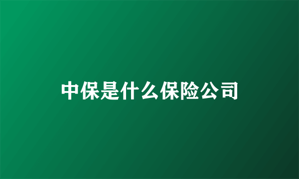 中保是什么保险公司