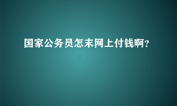 国家公务员怎末网上付钱啊？