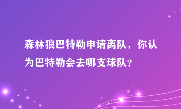 森林狼巴特勒申请离队，你认为巴特勒会去哪支球队？