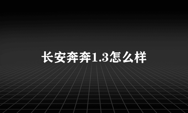 长安奔奔1.3怎么样