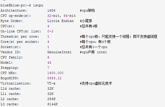 怎么查看linux系统硬件信息