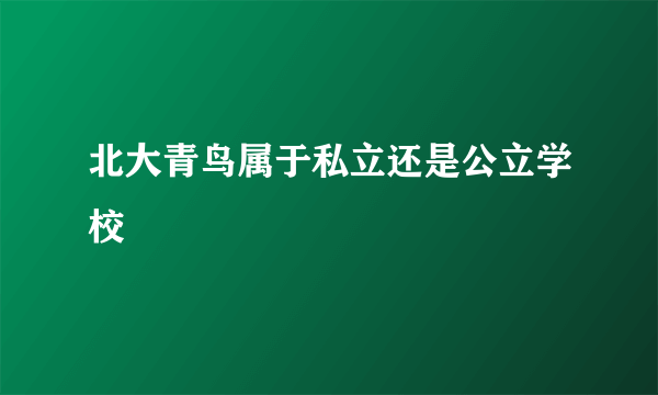 北大青鸟属于私立还是公立学校