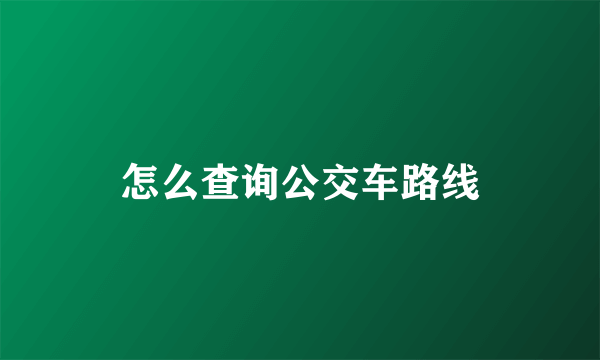 怎么查询公交车路线