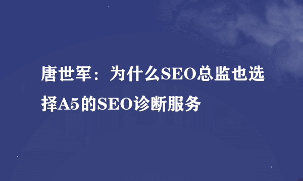 唐世军：为什么SEO总监也选择A5的SEO诊断服务