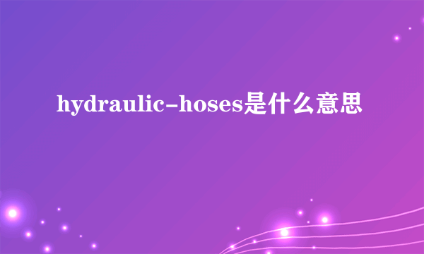 hydraulic-hoses是什么意思