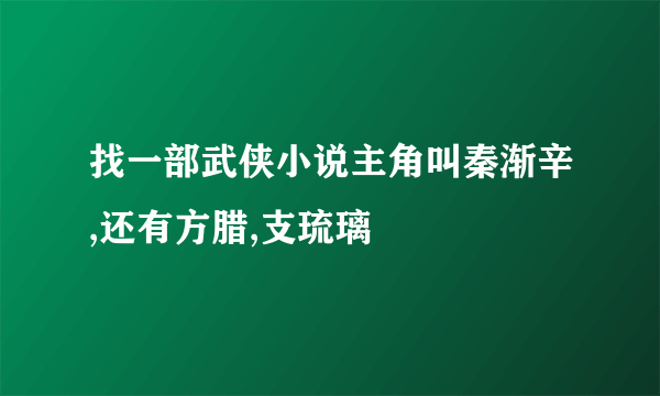 找一部武侠小说主角叫秦渐辛,还有方腊,支琉璃