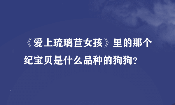 《爱上琉璃苣女孩》里的那个纪宝贝是什么品种的狗狗？