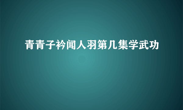 青青子衿闻人羽第几集学武功