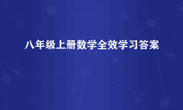 八年级上册数学全效学习答案