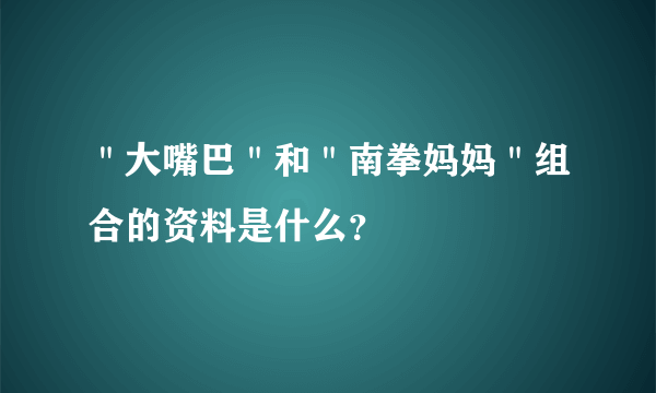 ＂大嘴巴＂和＂南拳妈妈＂组合的资料是什么？