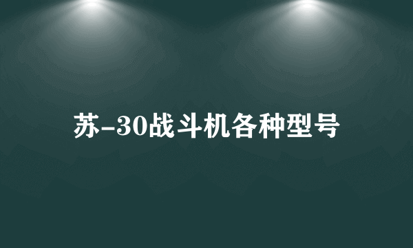 苏-30战斗机各种型号