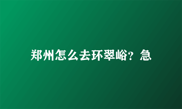 郑州怎么去环翠峪？急