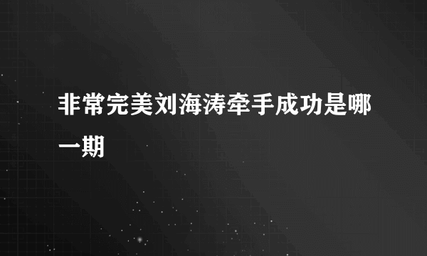 非常完美刘海涛牵手成功是哪一期