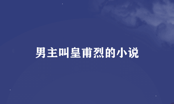 男主叫皇甫烈的小说