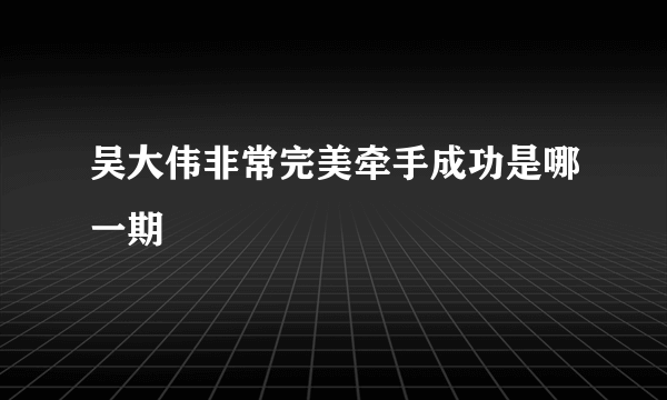 吴大伟非常完美牵手成功是哪一期