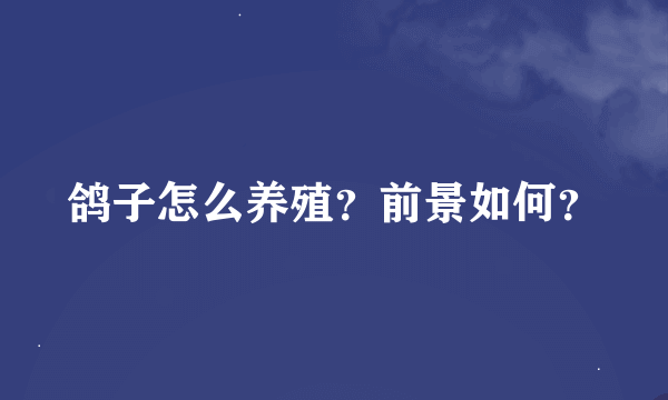 鸽子怎么养殖？前景如何？