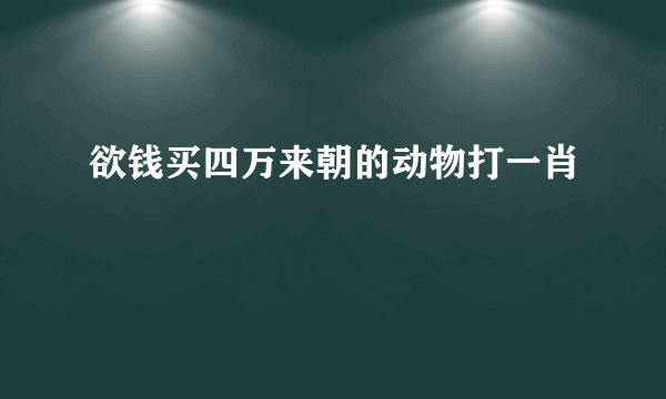 欲钱买四万来朝的动物打一肖