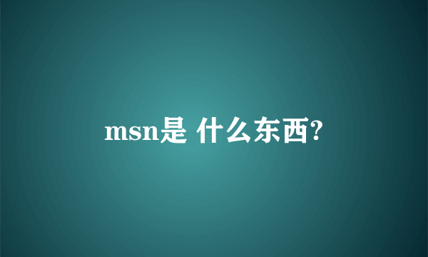 msn是 什么东西?