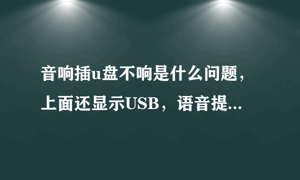 音响插u盘不响是什么问题，上面还显示USB，语音提示音频输入，就是不响？