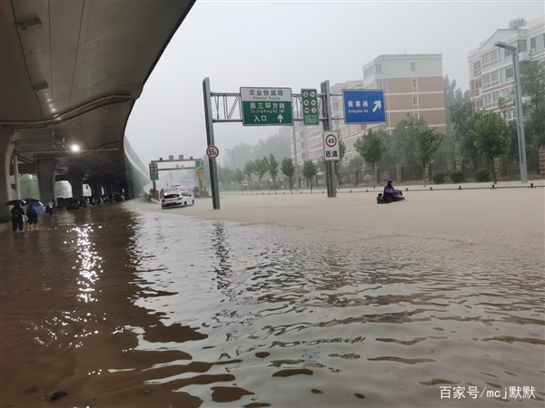 平顶山遭到暴雨袭击，给当地造成了哪些影响和损失？