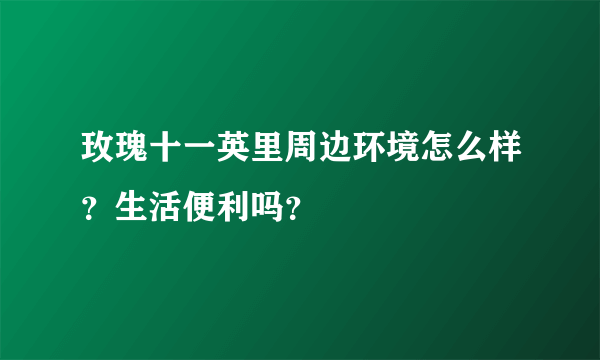 玫瑰十一英里周边环境怎么样？生活便利吗？