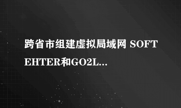 跨省市组建虚拟局域网 SOFTEHTER和GO2LAN都PING不通 求大侠们指点！！