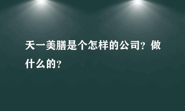 天一美膳是个怎样的公司？做什么的？