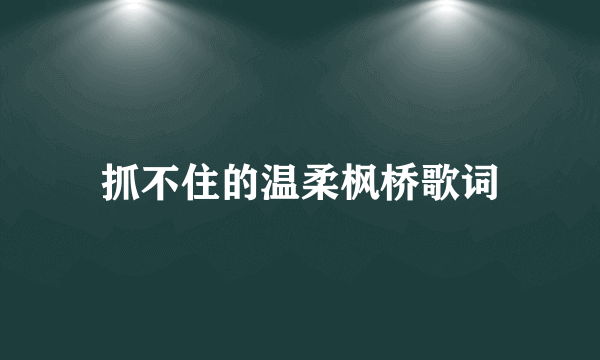 抓不住的温柔枫桥歌词