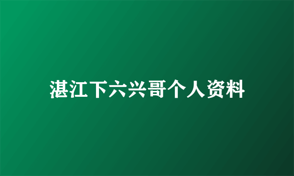 湛江下六兴哥个人资料