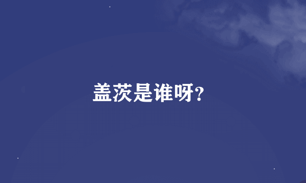 盖茨是谁呀？