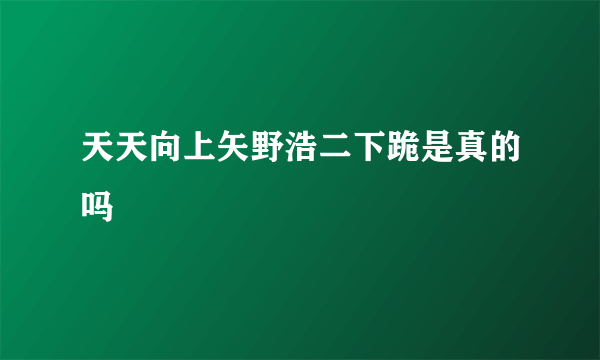 天天向上矢野浩二下跪是真的吗