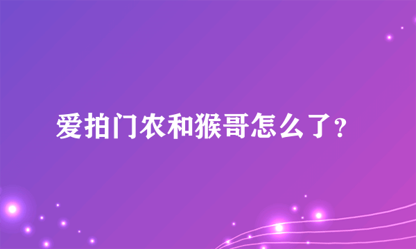 爱拍门农和猴哥怎么了？