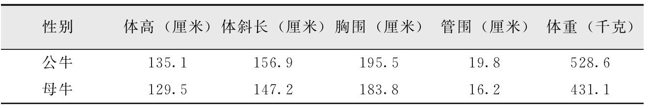 我国有哪些黄牛品种？特点是什么？