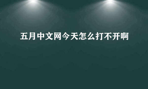 五月中文网今天怎么打不开啊