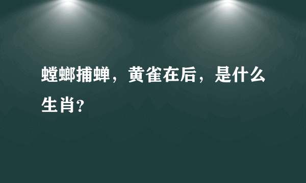 螳螂捕蝉，黄雀在后，是什么生肖？