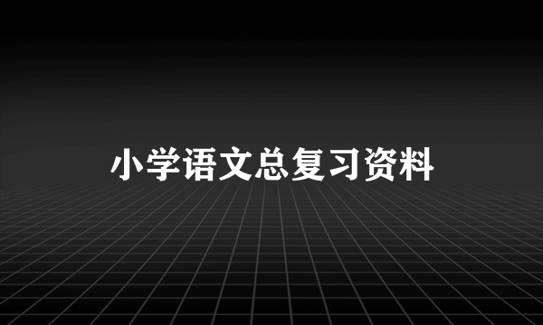 小学语文总复习资料