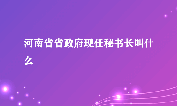 河南省省政府现任秘书长叫什么