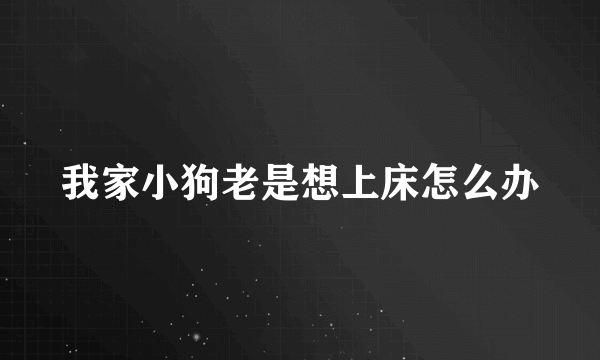 我家小狗老是想上床怎么办