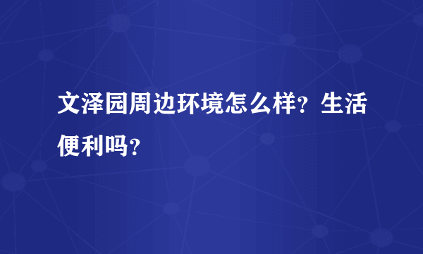 文泽园周边环境怎么样？生活便利吗？