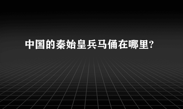 中国的秦始皇兵马俑在哪里?