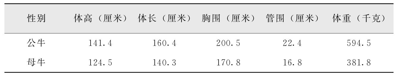 我国有哪些黄牛品种？特点是什么？