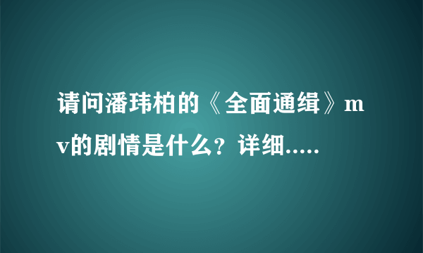 请问潘玮柏的《全面通缉》mv的剧情是什么？详细......谢....