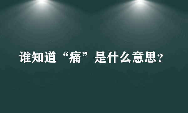 谁知道“痛”是什么意思？